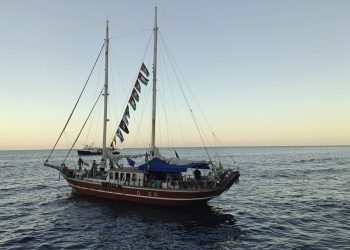 Flotilla - Γάζα