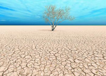 Concept or conceptual desert landscape with a parched tree as a metaphor for global warming and climate change. A warning for the need to protect our environment and future 3d illustration
