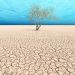 Concept or conceptual desert landscape with a parched tree as a metaphor for global warming and climate change. A warning for the need to protect our environment and future 3d illustration