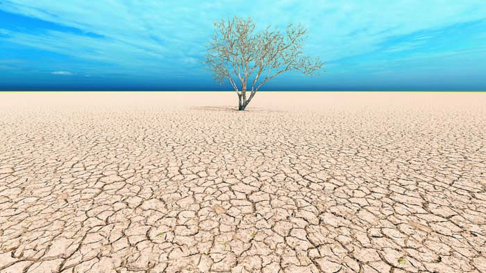 Concept or conceptual desert landscape with a parched tree as a metaphor for global warming and climate change. A warning for the need to protect our environment and future 3d illustration