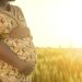 Pregnant woman relaxing in nature on a beautiful sunny day.A crop of a pregnant woman's stomach with field in the background.