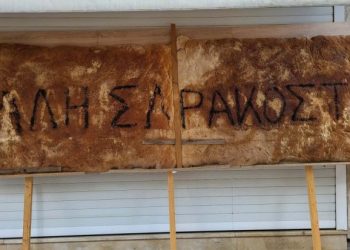 CREATOR: gd-jpeg v1.0 (using IJG JPEG v62), quality = 82