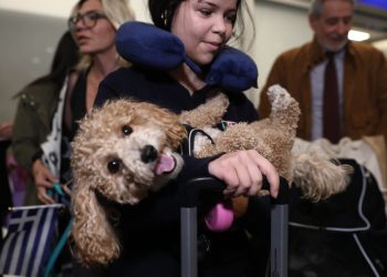 Επαναπατρισμός ελλήνων πολιτών και των κατοικιδίων τους ειδική πτήση της Aegean από το Άμπου Ντάμπι στο αεροδρόμιο "Ελευθέριος Βενιζέλος", Τετάρτη 18 Μαρτίου 2026.  Υπενθυμίζεται ότι η πτήση επρόκειτο να γίνει τη Δευτέρα (16/3), αλλά αναβλήθηκε λόγω των ειδικών συνθηκών που επικρατούν στη Μέση Ανατολή. Στην πτήση βρίσκονταν συνολικά 101 άτομα με 45 κατοικίδια.  (ΔΑΝΑΗ ΔΑΥΛΟΠΟΥΛΟΥ/EUROKINISSI)