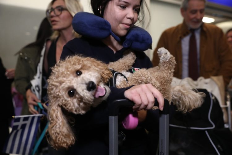 Επαναπατρισμός ελλήνων πολιτών και των κατοικιδίων τους ειδική πτήση της Aegean από το Άμπου Ντάμπι στο αεροδρόμιο "Ελευθέριος Βενιζέλος", Τετάρτη 18 Μαρτίου 2026.  Υπενθυμίζεται ότι η πτήση επρόκειτο να γίνει τη Δευτέρα (16/3), αλλά αναβλήθηκε λόγω των ειδικών συνθηκών που επικρατούν στη Μέση Ανατολή. Στην πτήση βρίσκονταν συνολικά 101 άτομα με 45 κατοικίδια.  (ΔΑΝΑΗ ΔΑΥΛΟΠΟΥΛΟΥ/EUROKINISSI)